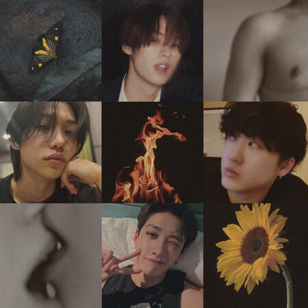 3x3 moodboard showing a moth, lee minho, a naked chest with top surgery scar, lee felix, a flame, seo changbin, kissing lips, bang chan and a sunflower. the colour scheme is darker brown black and yellow tones